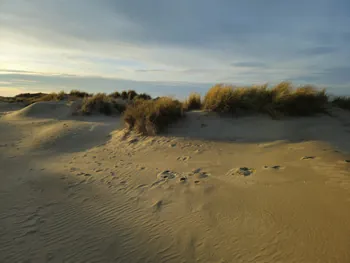 Oostnieuwkerke duinen wandeling in de koude (België)